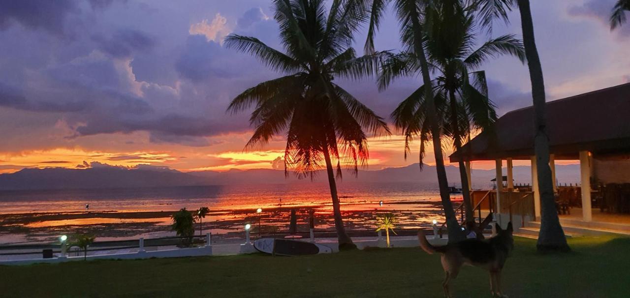 Tauig Beach Resort 몰볼 외부 사진